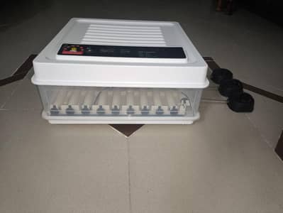 automatic incubator