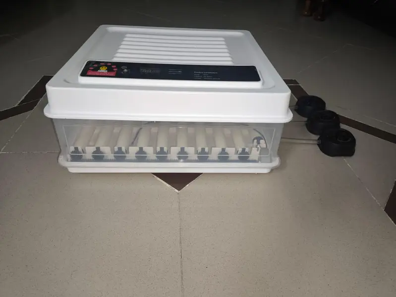 automatic incubator