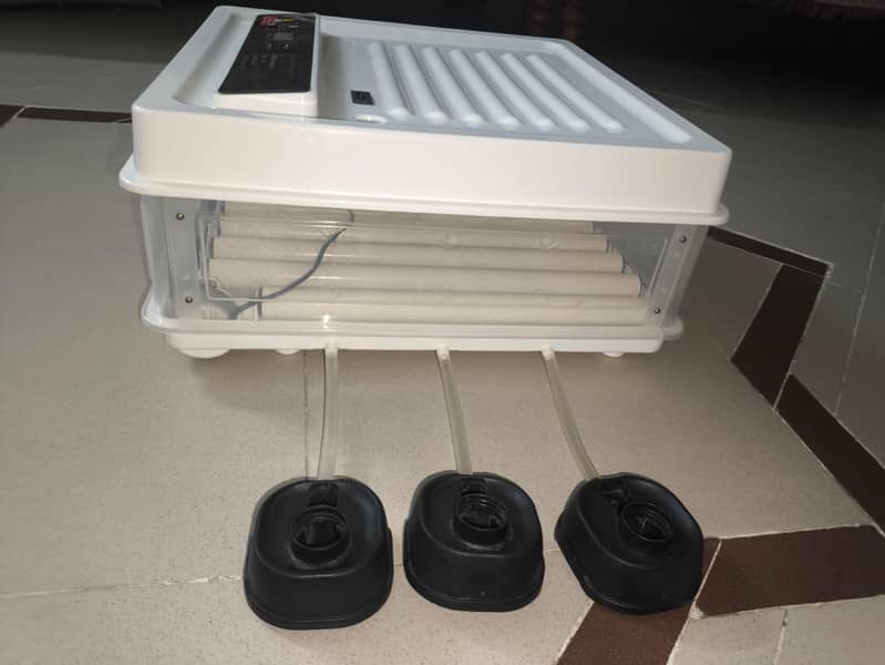 automatic incubator 3