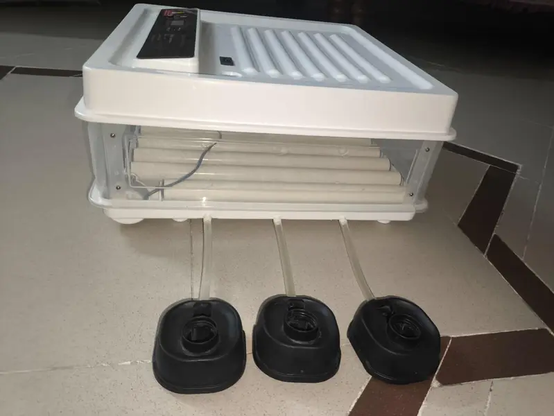 automatic incubator — photo 4
