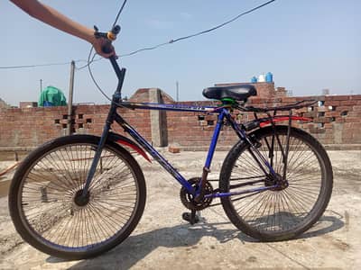 mountain bike