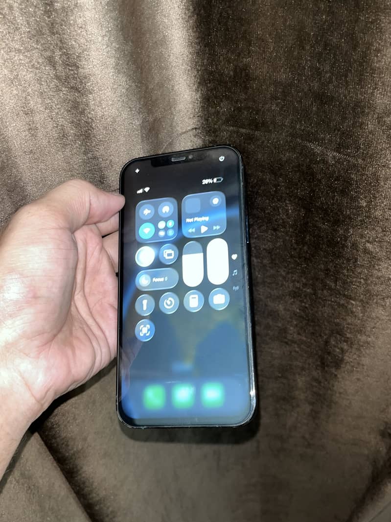 Apple iPhone 12 Pro Max 1