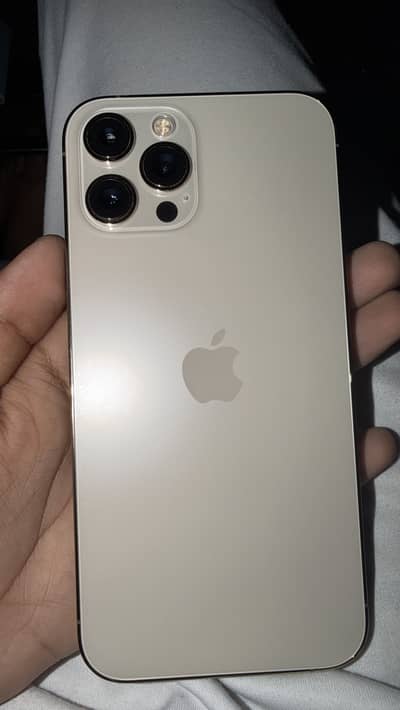 Apple iPhone 12 Pro Max