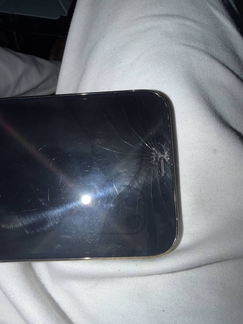 Apple iPhone 12 Pro Max 1