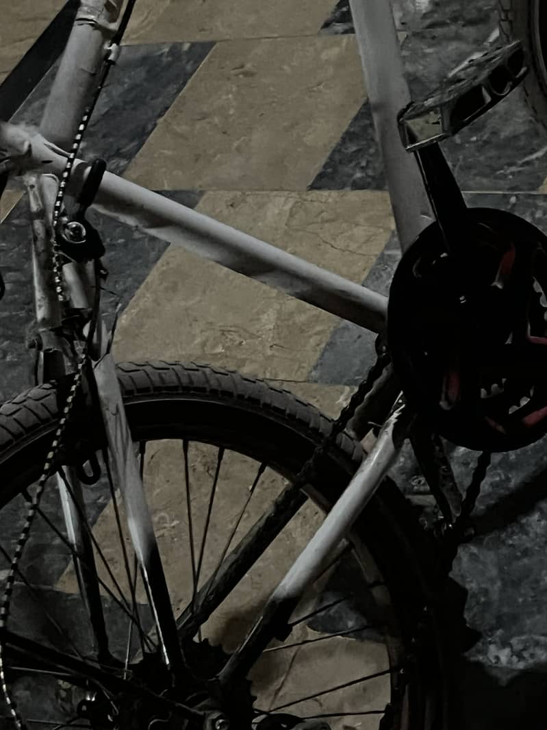 Bicycle 0