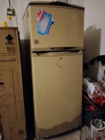 WAVES fridge