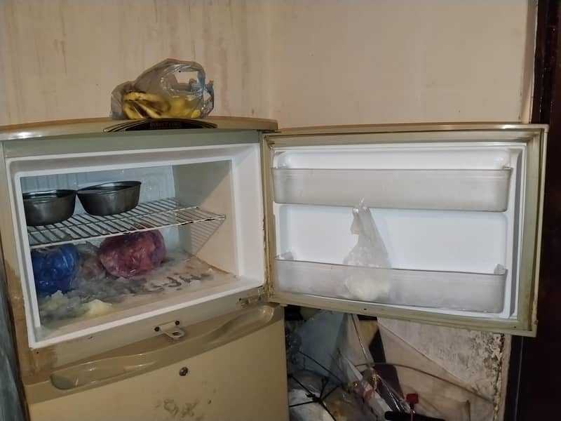 WAVES fridge 2