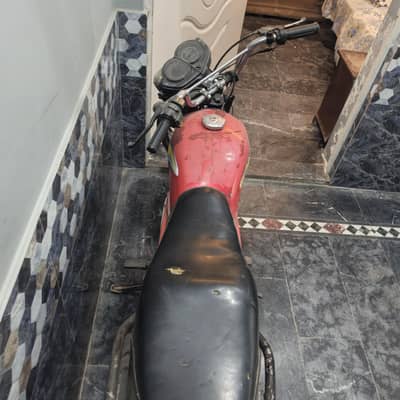 bick for sale WhatsApp no 03037054235