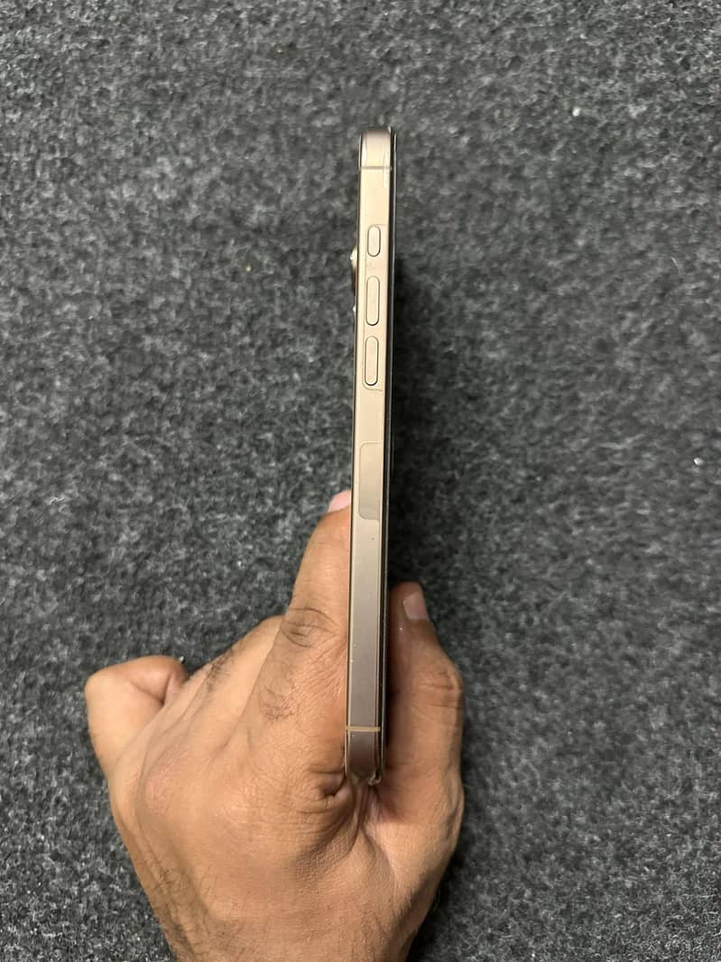 Apple iPhone 16 Pro Max 2