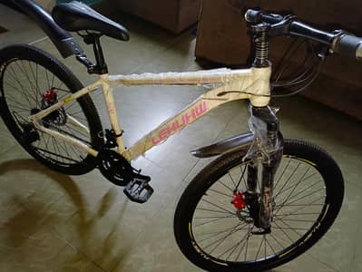 sports bicycle