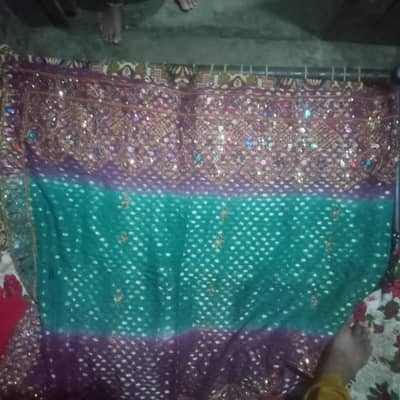 used lady frokh