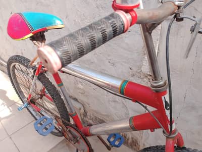 Red Shine Bicycle