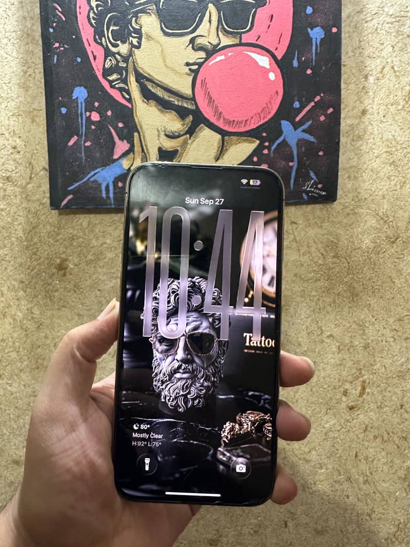Apple iPhone 14 Pro Max 2