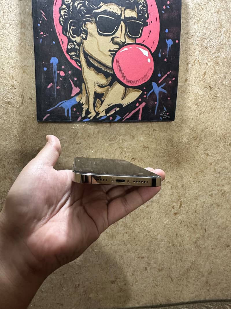 Apple iPhone 14 Pro Max 3