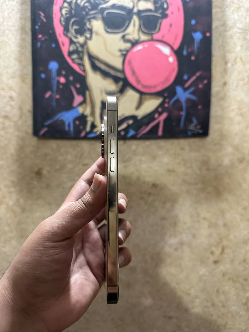 Apple iPhone 14 Pro Max 5