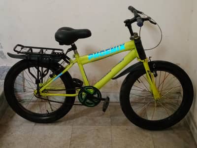 phoenix cycle model 2026
