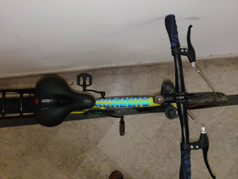 phoenix cycle model 2026 8