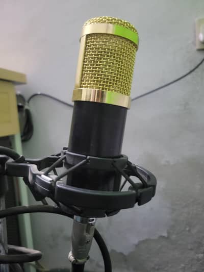 BM 800 Condenser Mic