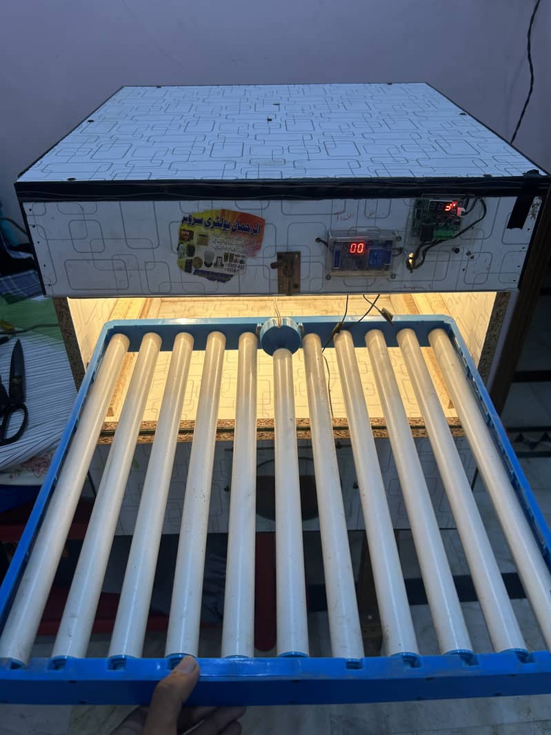 Incubator 100 eggs automatic 0