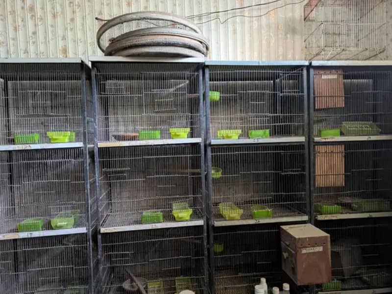 cages 1