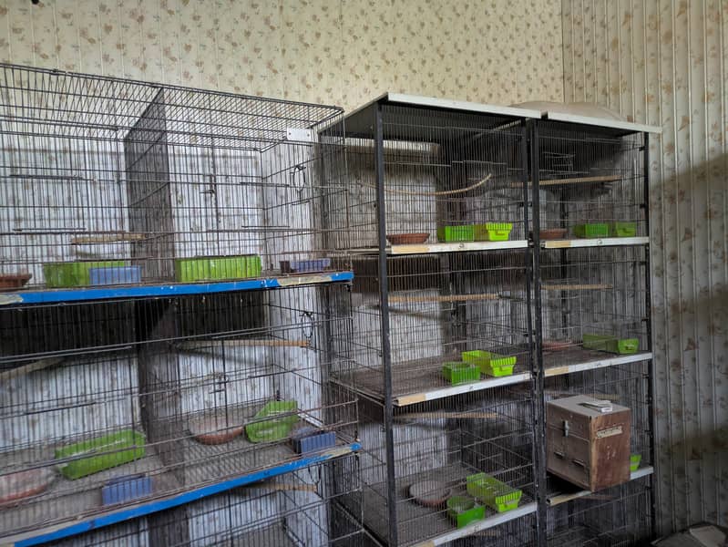 cages 7