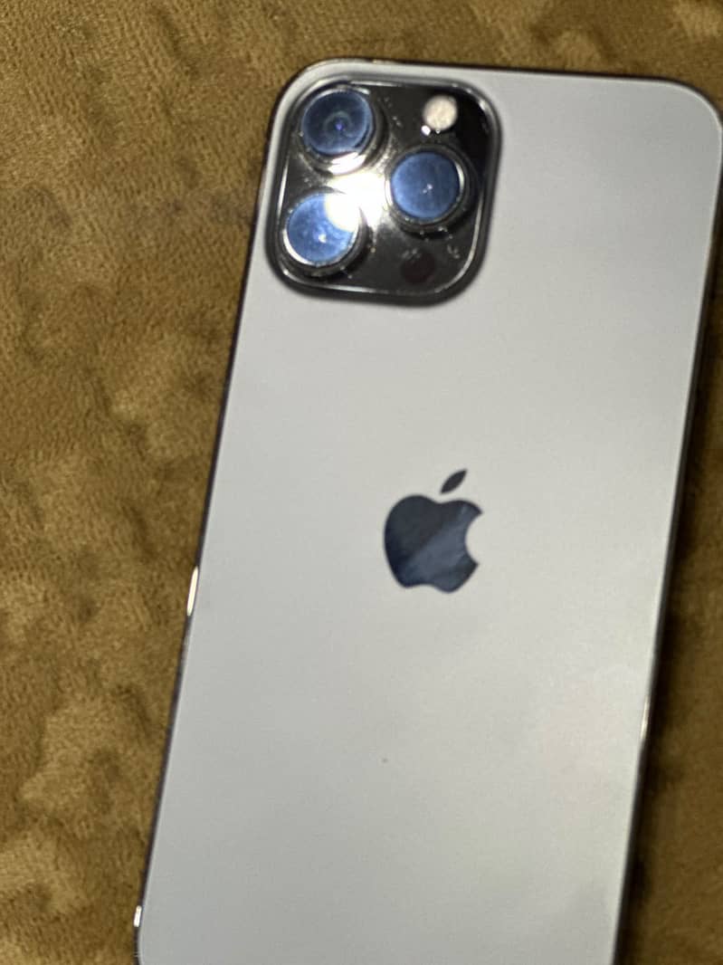 Apple iPhone 13 Pro Max 1