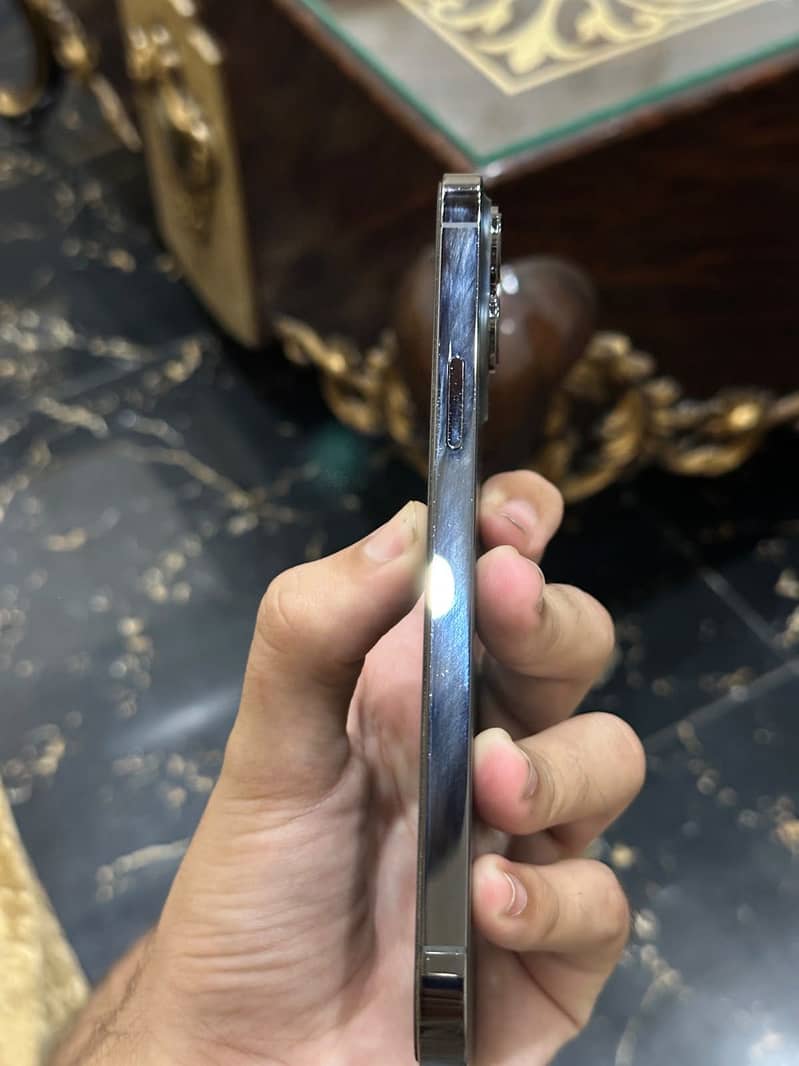 Apple iPhone 13 Pro Max 6