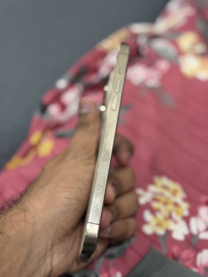 Apple iPhone 14 Pro Max 4