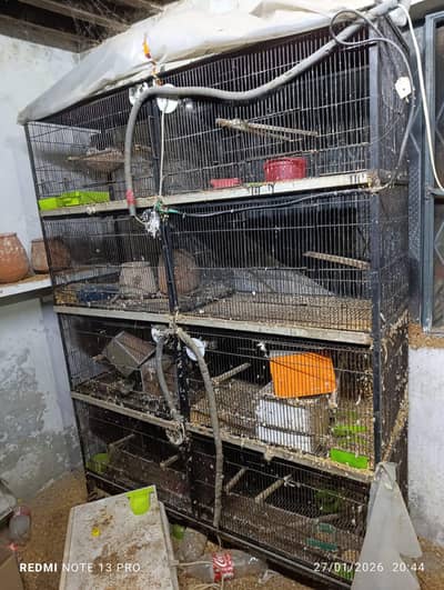 8 portion cage