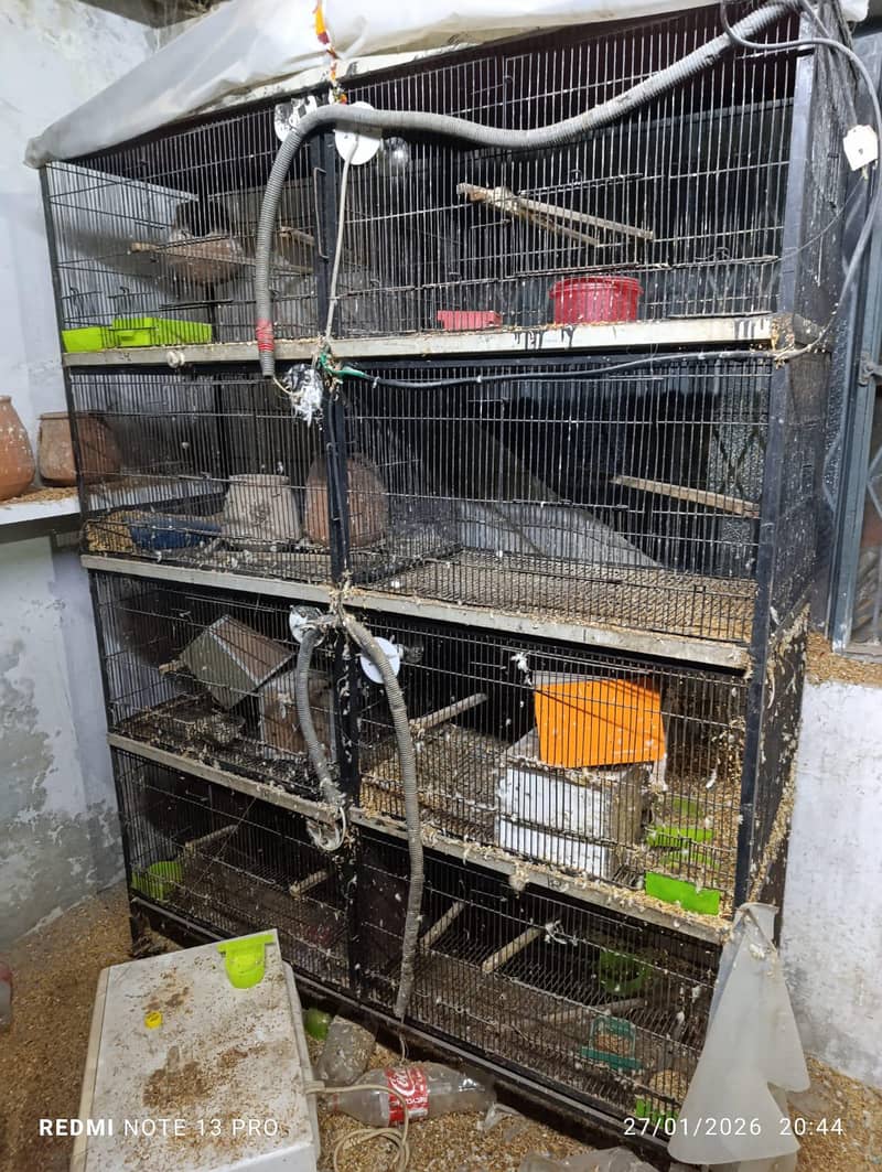 8 portion cage 1