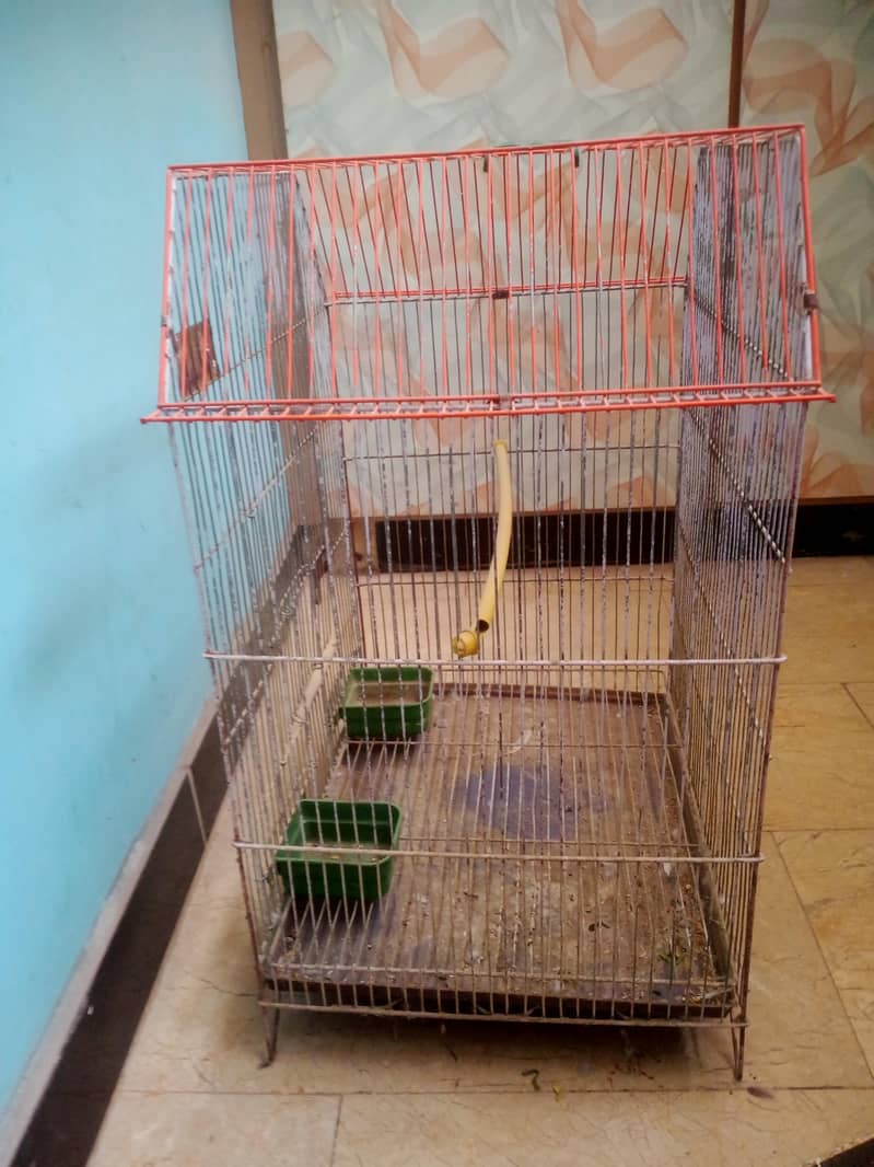 One Portion Cage 1