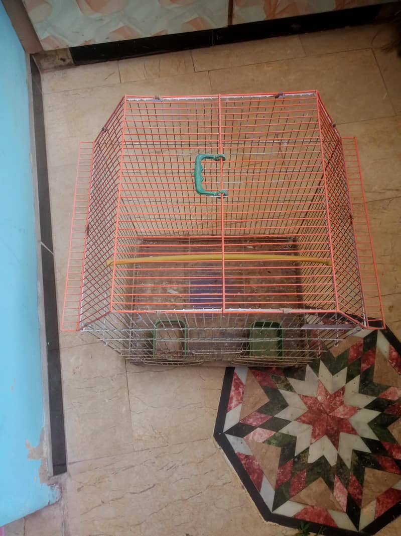One Portion Cage 2