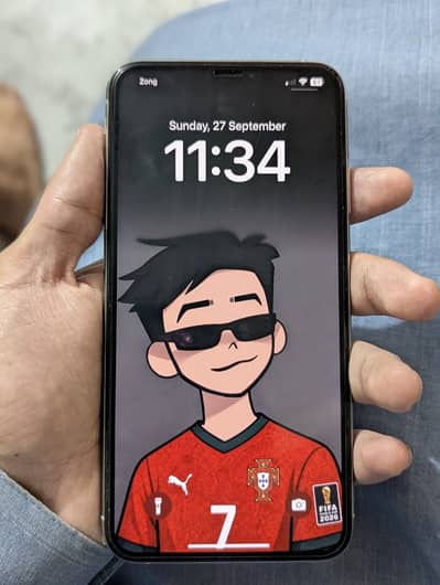 Apple iPhone XS Max 64GB PTA Approved