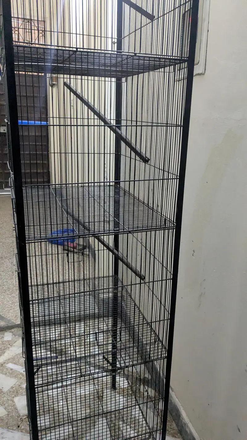 cage / birds cage /iron cage parrots cage /4 portion cag /Like new — photo 3