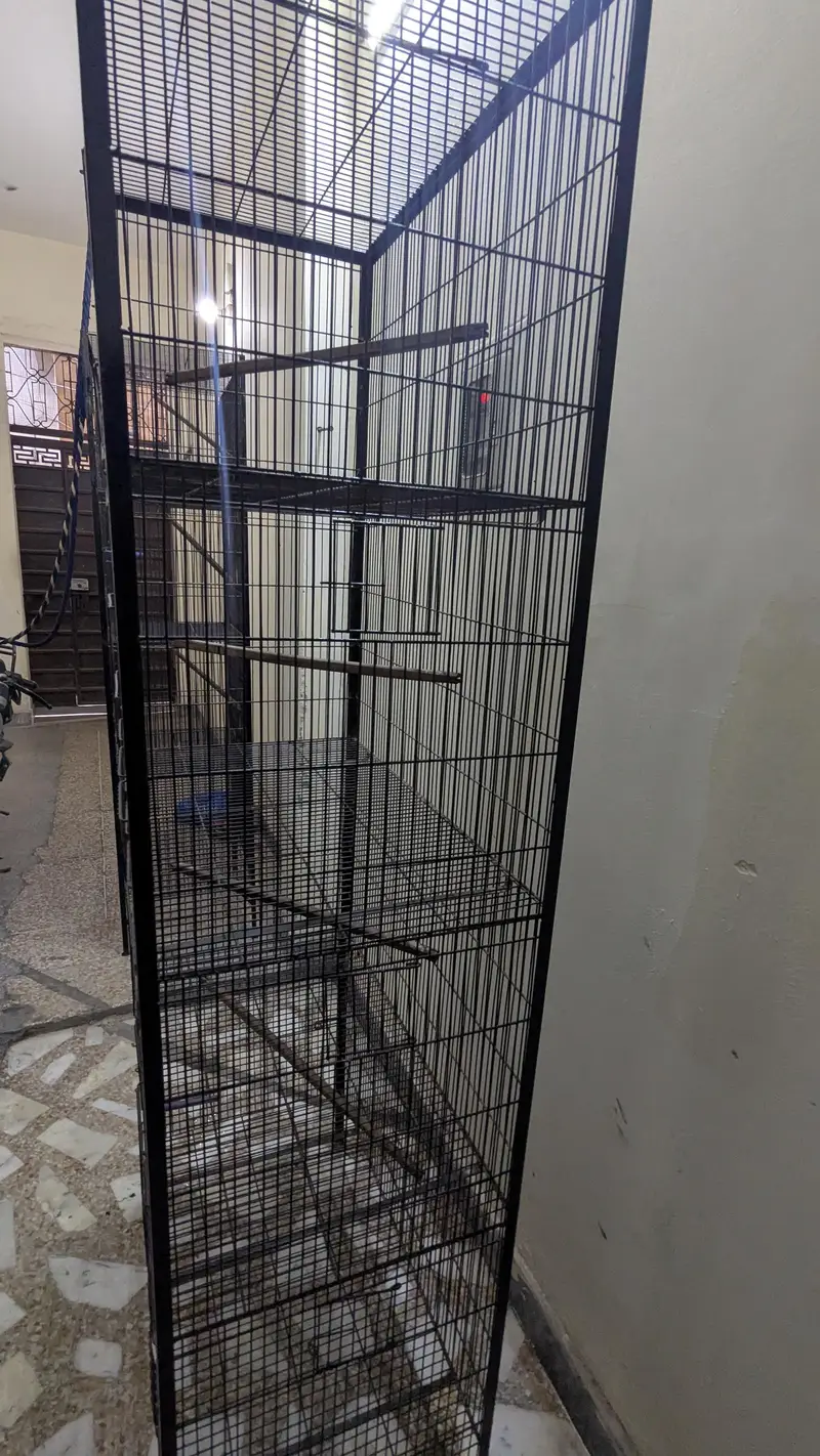 cage / birds cage /iron cage parrots cage /4 portion cag /Like new — photo 5
