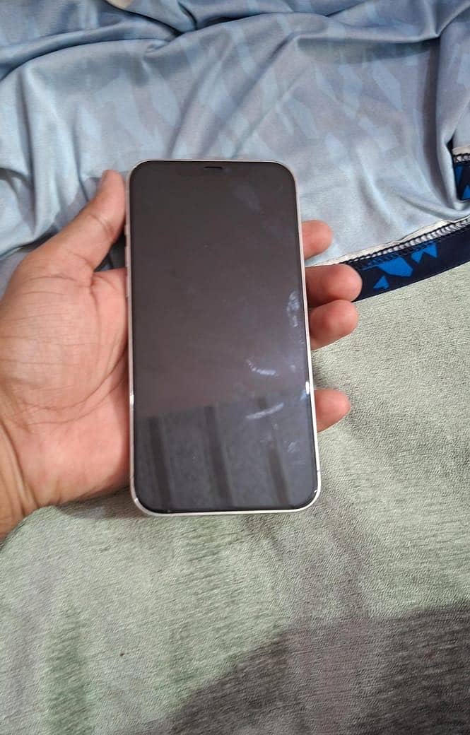 Apple iPhone 12 Pro Max 1