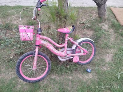 Kids Bicycle Girls Bicycle