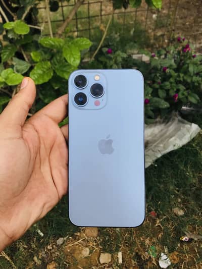 Apple iPhone 13 Pro Max pta approve
