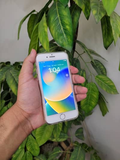 iPhone 8 256gb PTA