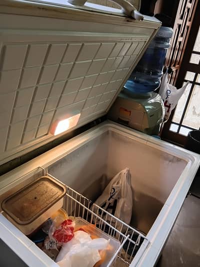 Waves Deep Freezer