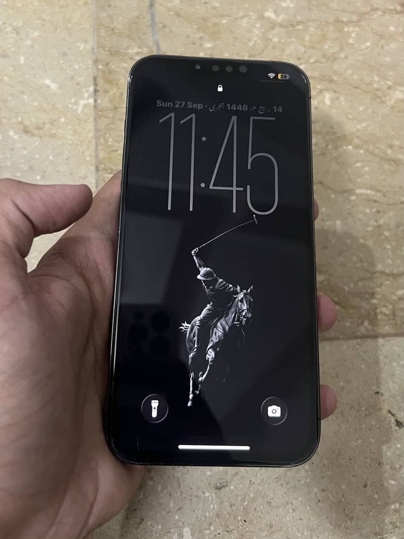 Apple iPhone 13 Pro Max 0