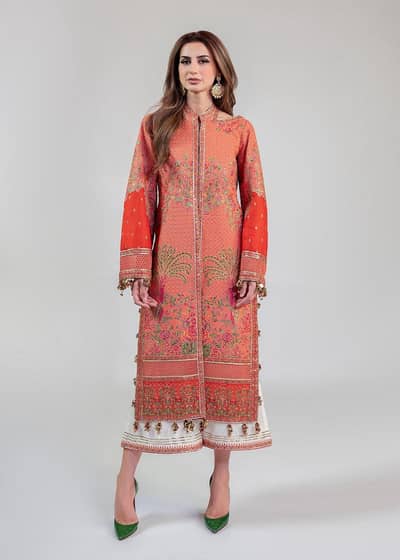Hussain Rehar designer dress