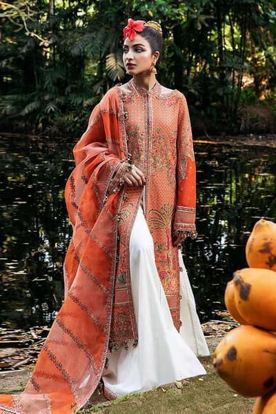 Hussain Rehar designer dress