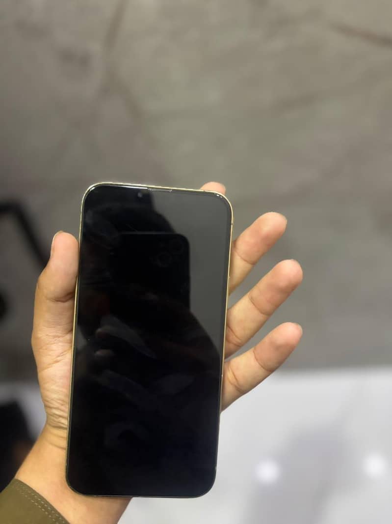 Apple iPhone 13 Pro Max 3
