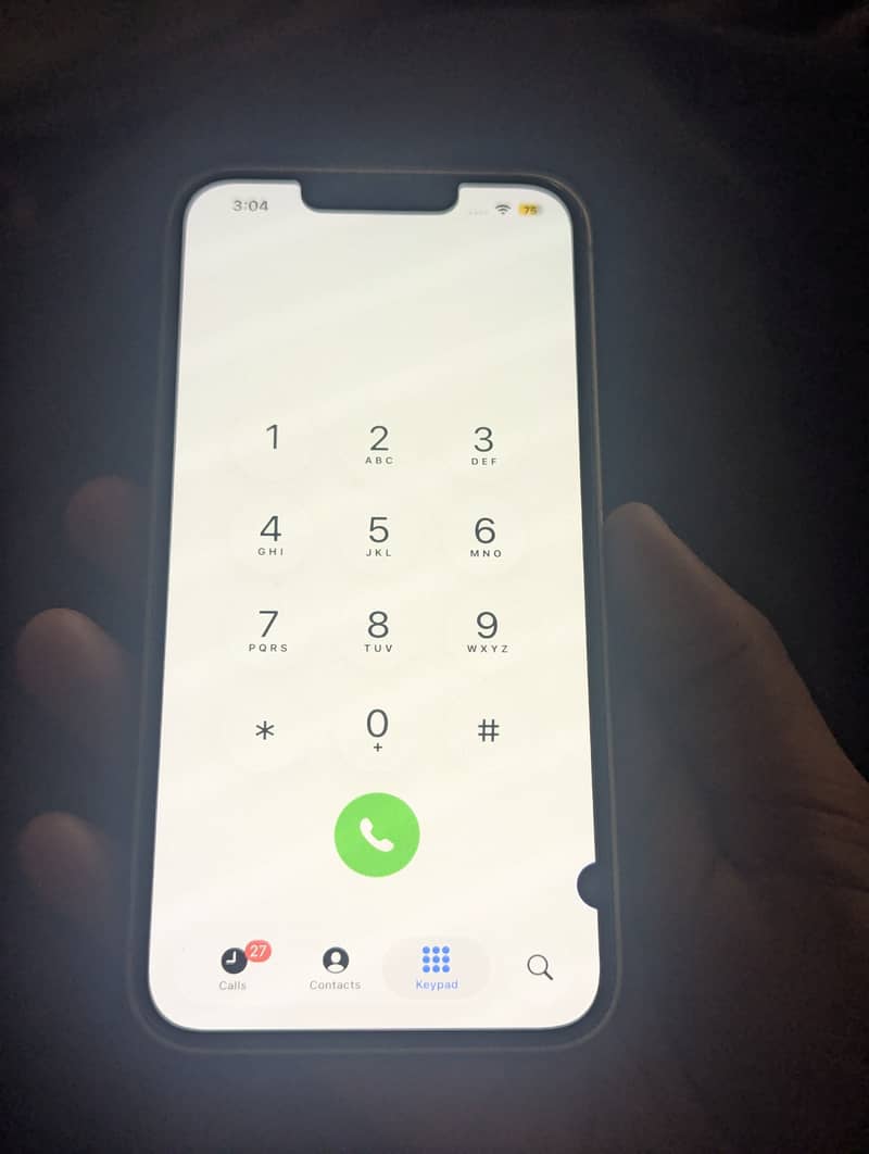 Apple iPhone 13 0