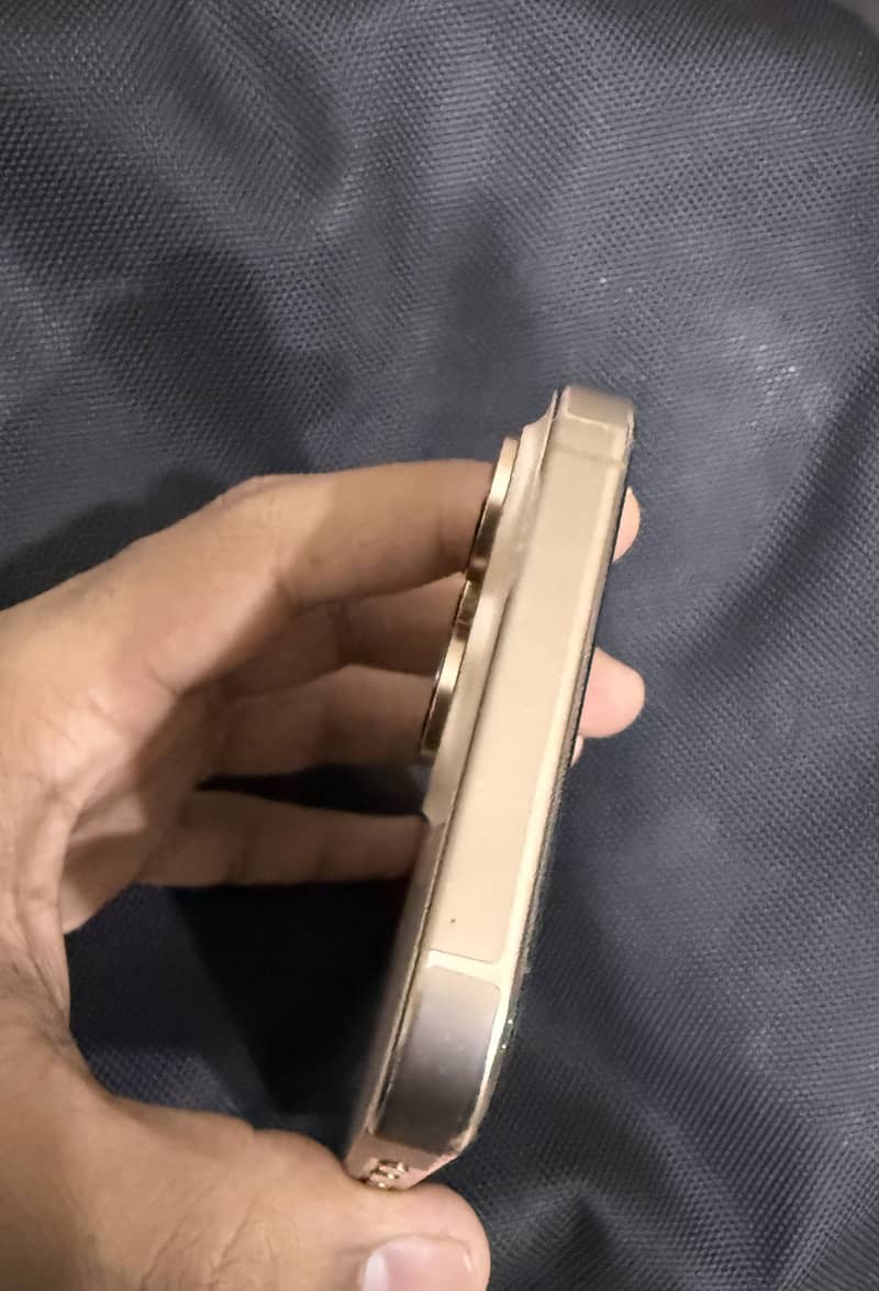 Apple iPhone 16 Pro Max 2