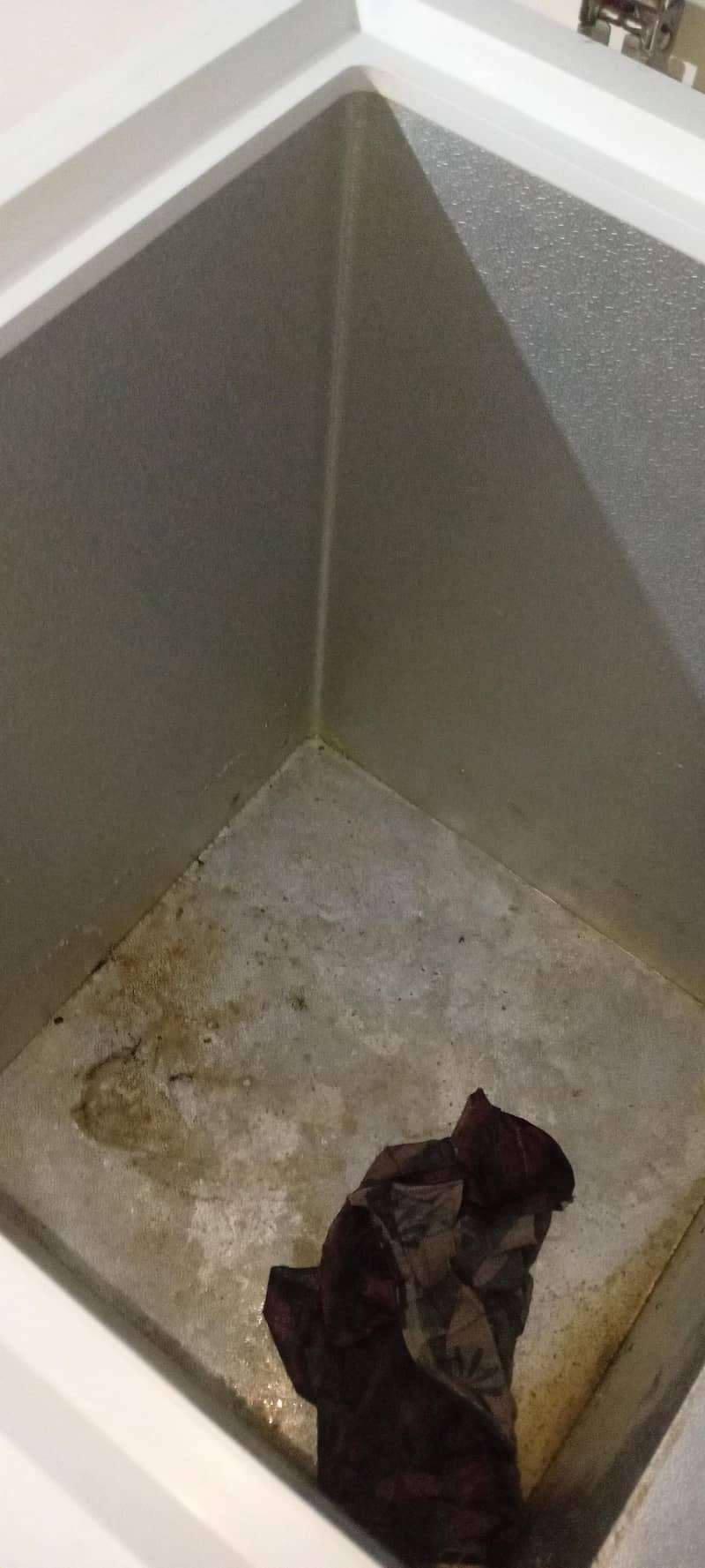 freezer 1