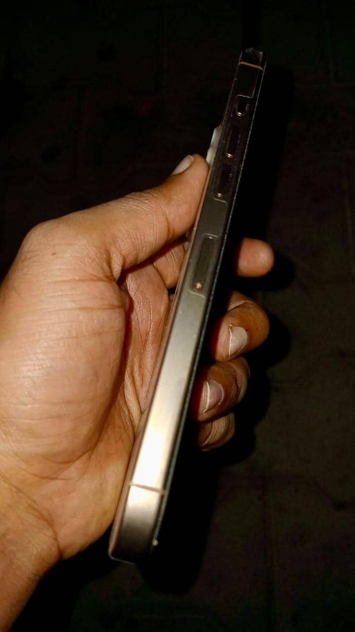 Apple iPhone 16 Pro Max 1