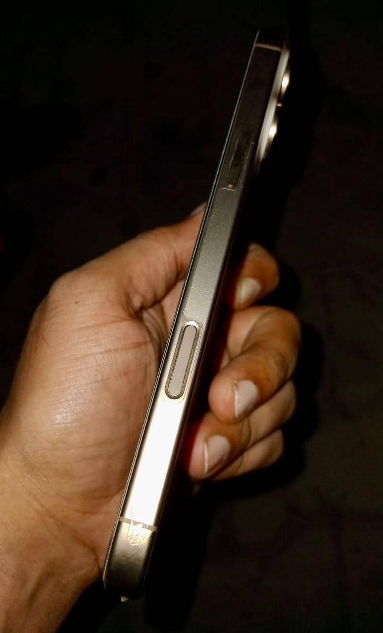 Apple iPhone 16 Pro Max 3
