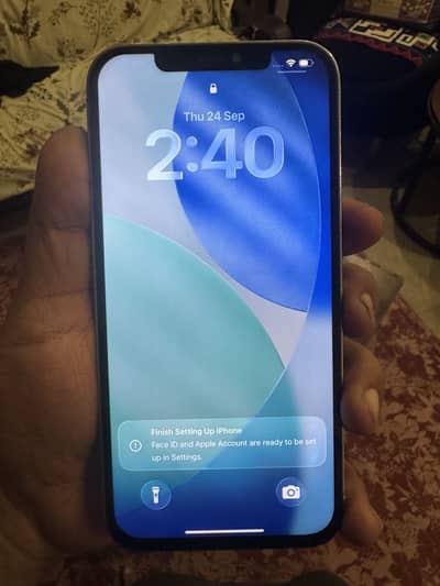 Apple iPhone 12 Pro Max